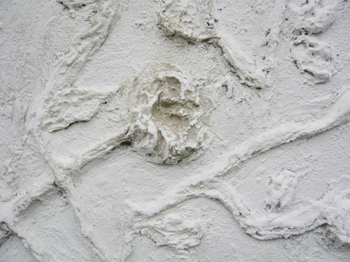 doris_braune_mangold