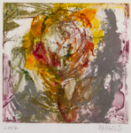 doris_braune_mangold